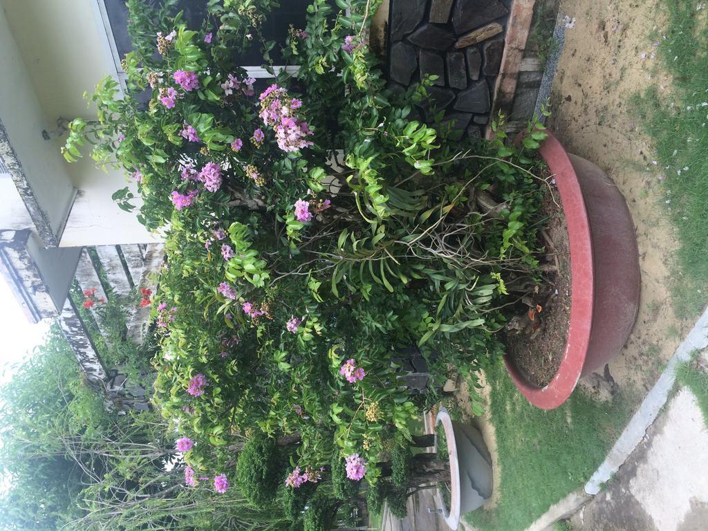 Dragon Bay Hotel Cam Lam Dış mekan fotoğraf