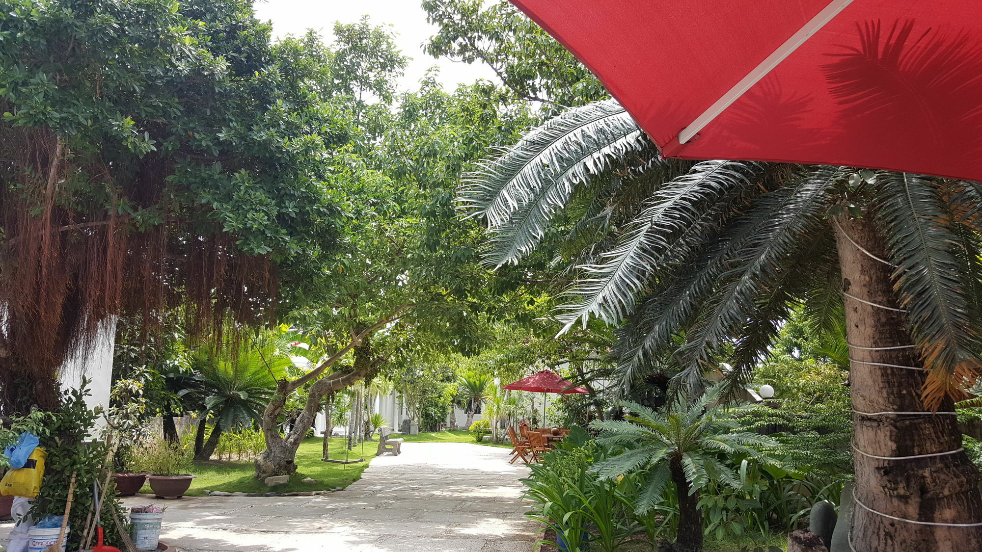 Dragon Bay Hotel Cam Lam Dış mekan fotoğraf